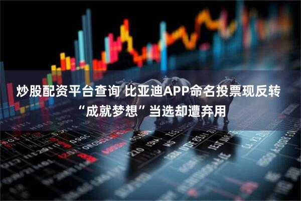 炒股配资平台查询 比亚迪APP命名投票现反转 “成就梦想”当选却遭弃用