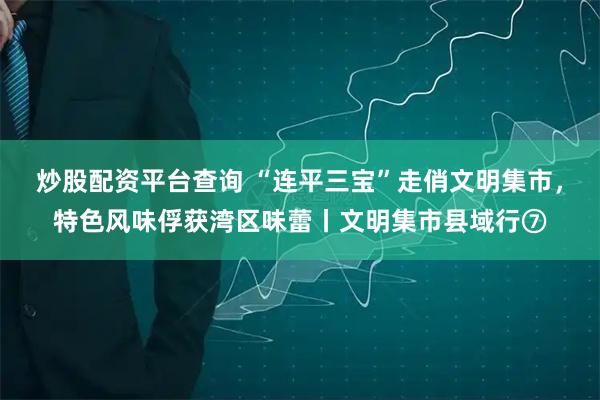 炒股配资平台查询 “连平三宝”走俏文明集市，特色风味俘获湾区味蕾丨文明集市县域行⑦